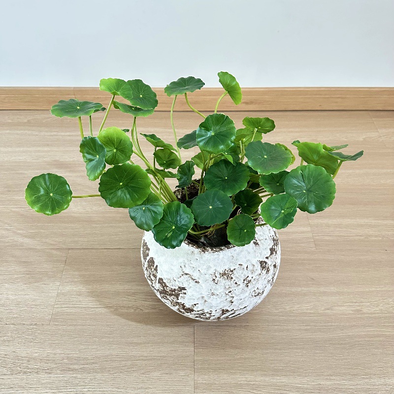 Bonsai Garden Wall - 2 Stück künstliche Pilea Peperomioides Bonsai-Kunstblätter