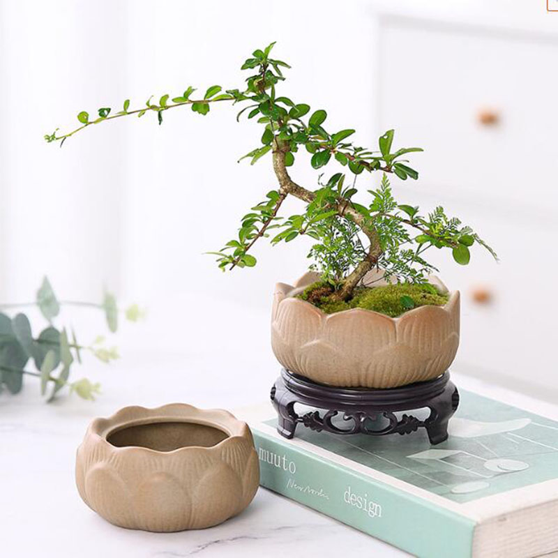 Bonsai Garden Art - Grobe Keramik Lotus grün Blumentopf atmungsaktive