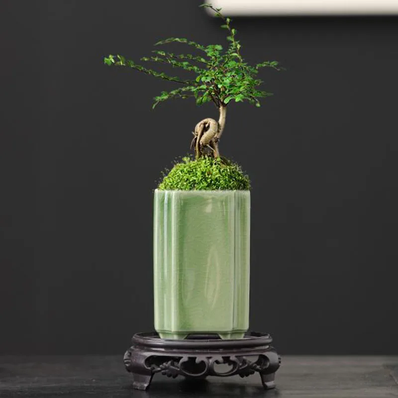 Bonsai Garden Art - Quadratischer Porzellan-Blumentopf mit Celadon-Glasur für Orchideen,