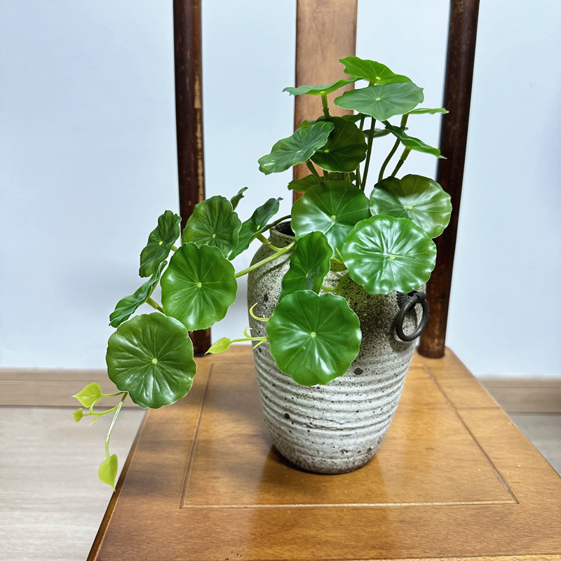 2 Stück künstliche Pilea Peper – Bonsai Garden Wall Bewertung und Preis
