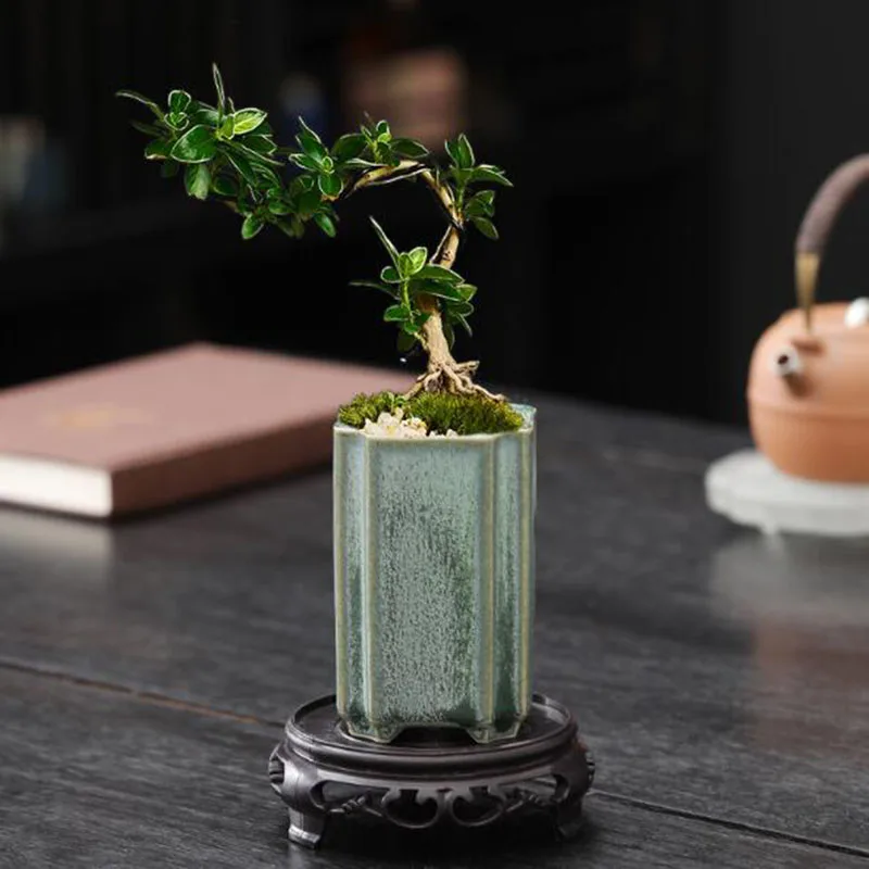 Quadratischer Porzellan-Blumen – Bonsai Garden Art Bewertung und Preis