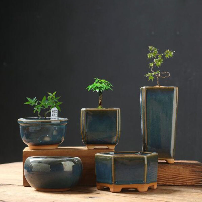 Keramik-Blumentopf mit Glasier – Bonsai Garden Art Bewertung und Preis